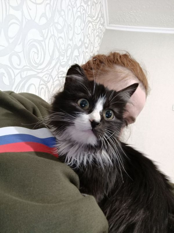 ���� ���������: ��������, ��� ��������� ������� ����� ������ ������!