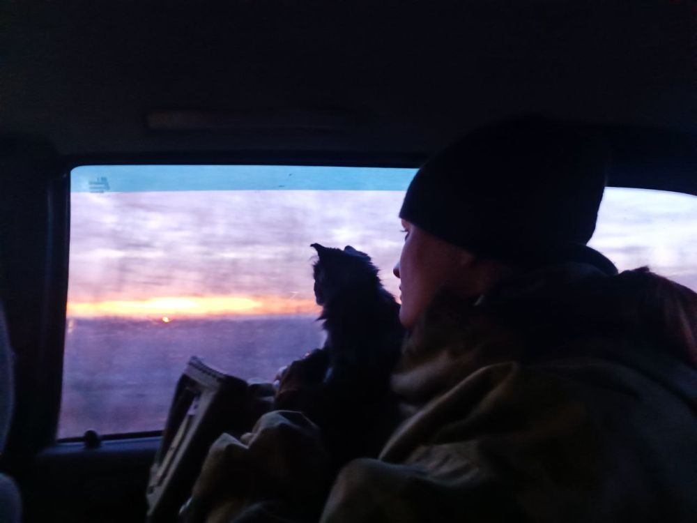 ���� ���������: �����, ���� ��������� ���������� "�����" � ������� � ���