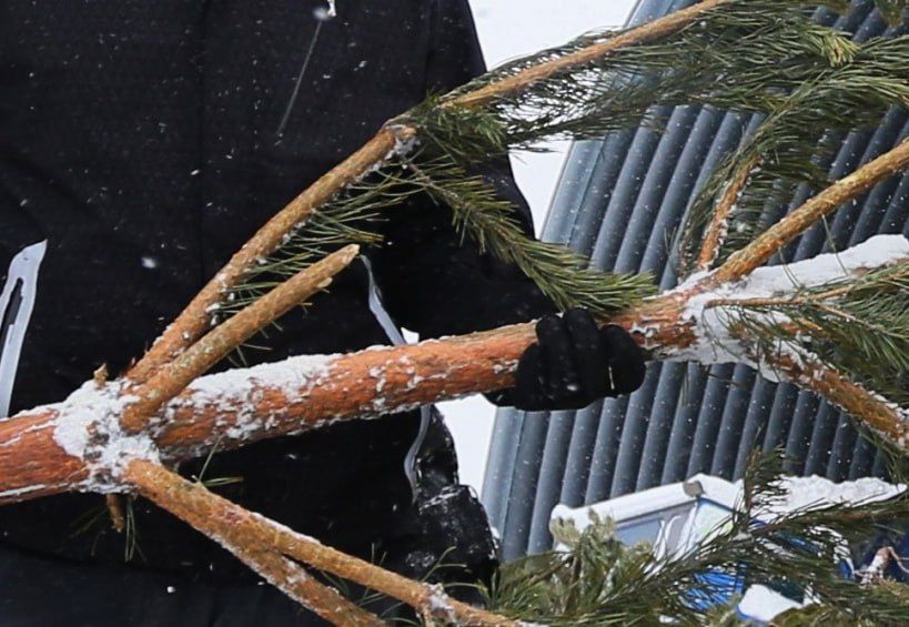 �������������� ����� 2,5 ������ ���������� ������, ����� � ���������� ����