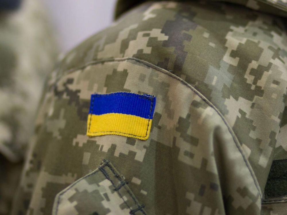������ �������: