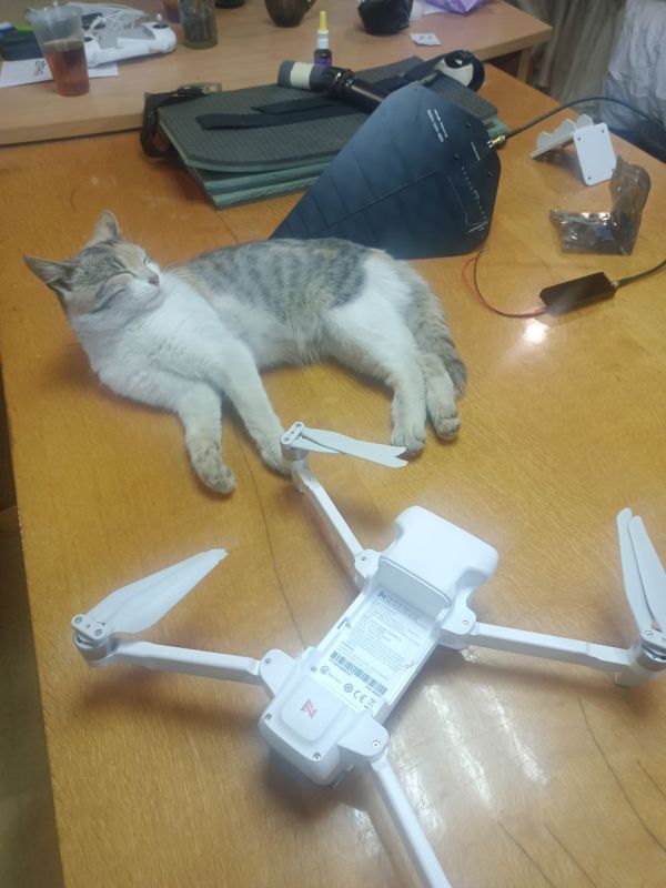 ���� ���������: �������� ��, ��������, ���������� ������, �� ���� �� ��� � ��������� ����� �� �������� � ������ ��� ����� �����?