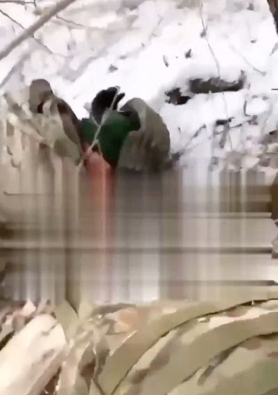 ��������� ������� ��������������? ������� ����������� ������ �� ����� �������� �������