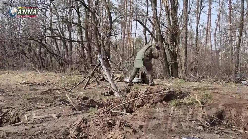 ����� �����: ���������� ������� ������ ������� ��� �� ��������� �� ����������� �������-���������