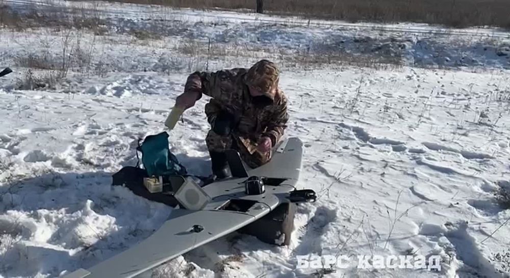 ������� ������: ���� ������ ������ �� ����� �������� � �������