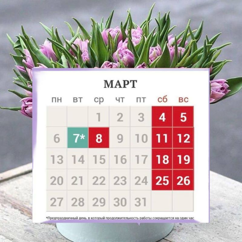 � ����� ��� ������ ��� ����� �������� � �������� �� 8 �����