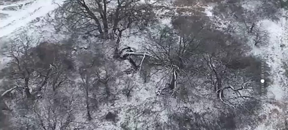 �������� 144-� �������������� ������� 20-� ����� ��� �� ������ ����������� ������� ���������� ����� ������ ����������, �������� ������ ������������� �� ����������� �������-���������