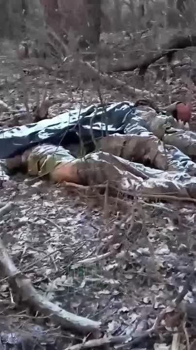 ������ ����������� ������� ������� ����� ��� �� ���������� �����������