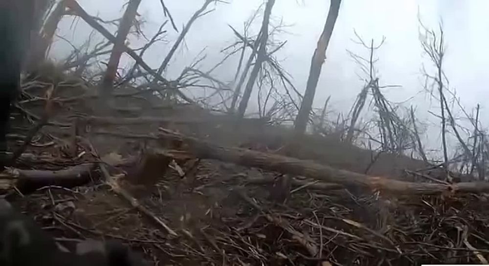 ����� ������ ��������� , ���������� ��������