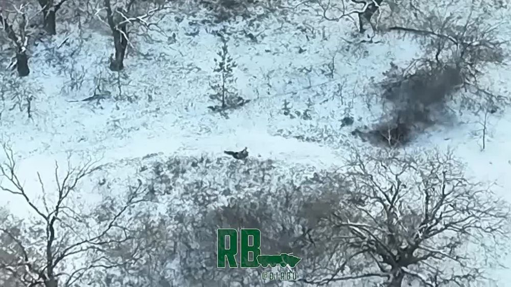 ���������� ������� ���������� ����������� ��� �� ����� ��������������� �������-���������