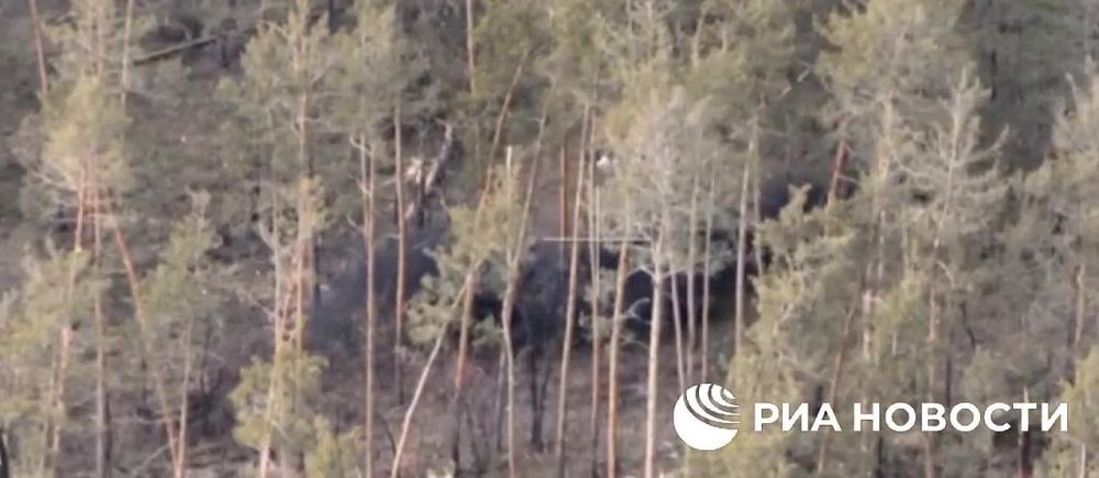 ������ ����������: ��� ��� ��� ���������� - ������������� �������! ����� � ������ ������������ �������