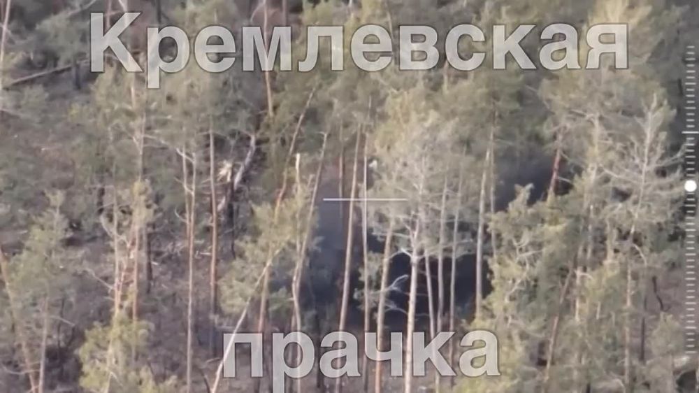 ����� 30-�� ��������������� 90-� �������� ������� ��� �� ������ ���������� ������������� � ������ ���������