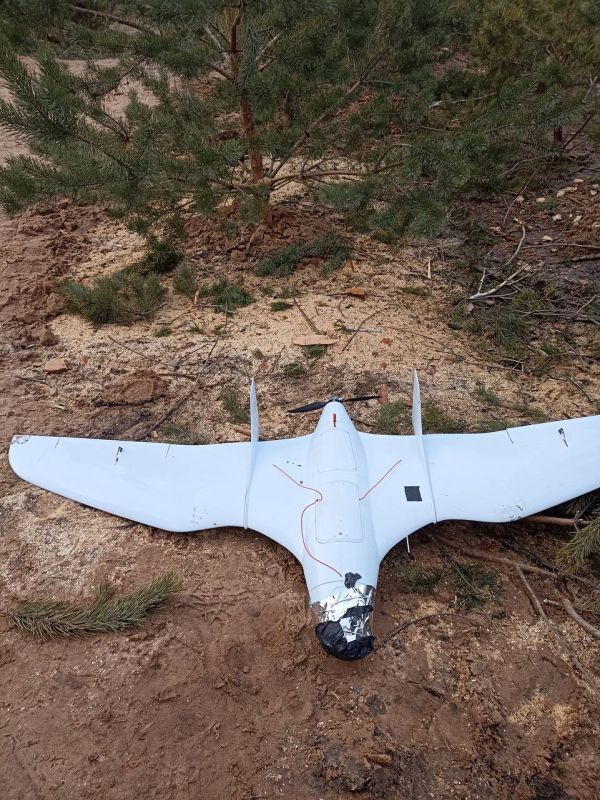 ����� �����: �� ����������� �������-��������� � ������� ���������� ���� �������� ���������� �������