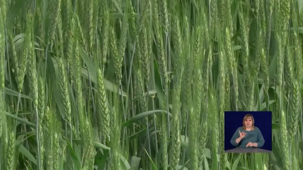 ������������� ��������� ��������� ������ �������� ���������� ���������� ����� �������������� ��������, ������������ �� ���������� ����� ������ ���������� ������