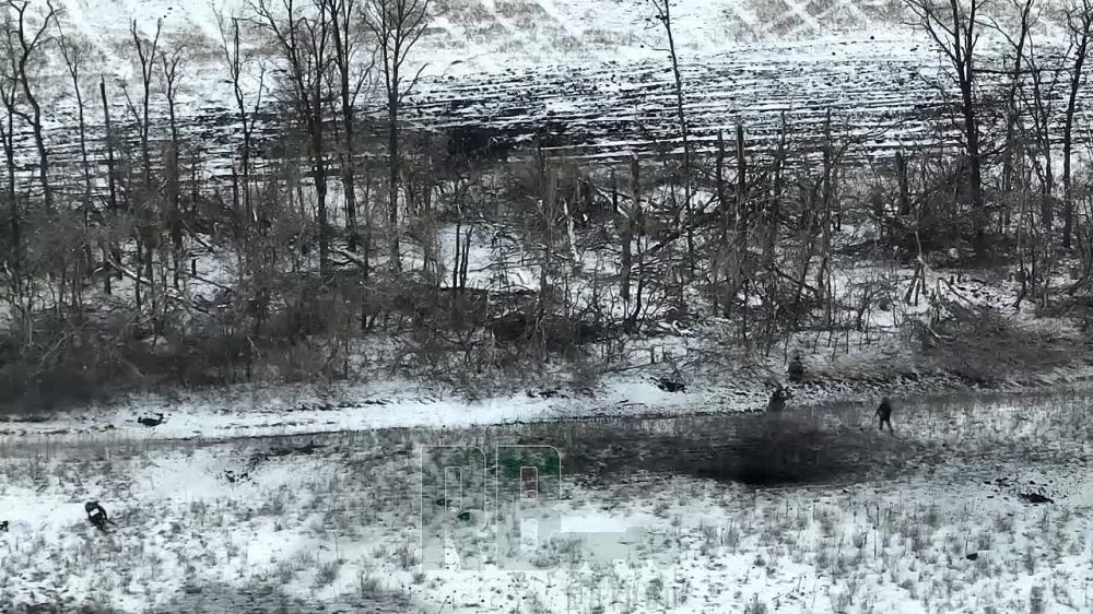 ����� �����: ���� �� ������� ������� ���������� ��� ��������� ������������ �� ����������� �������-���������