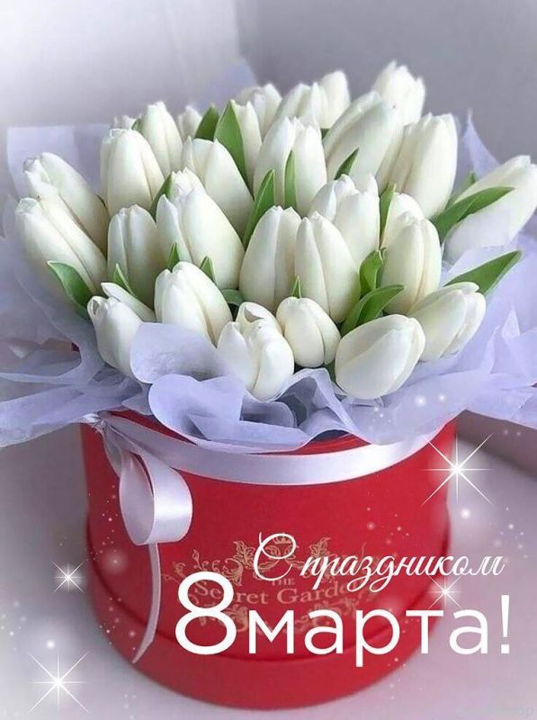 Совет женщин при Администрации города Стаханова, Совет ветеранов Стаханова искренне поздравляют прекрасных представительниц Стаханова, Ирмино и Алмазной с Международным женским днем