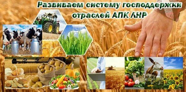 ����� �������� ����������� ����������� ������������ ��� �������� ���������� � 2023 ����