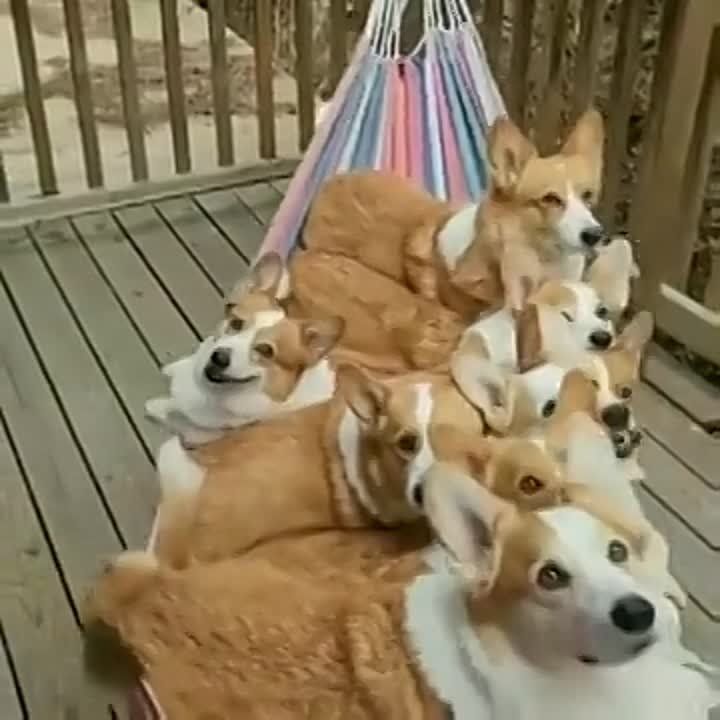 ������ ������� ��, ��� ������ ��� ����������