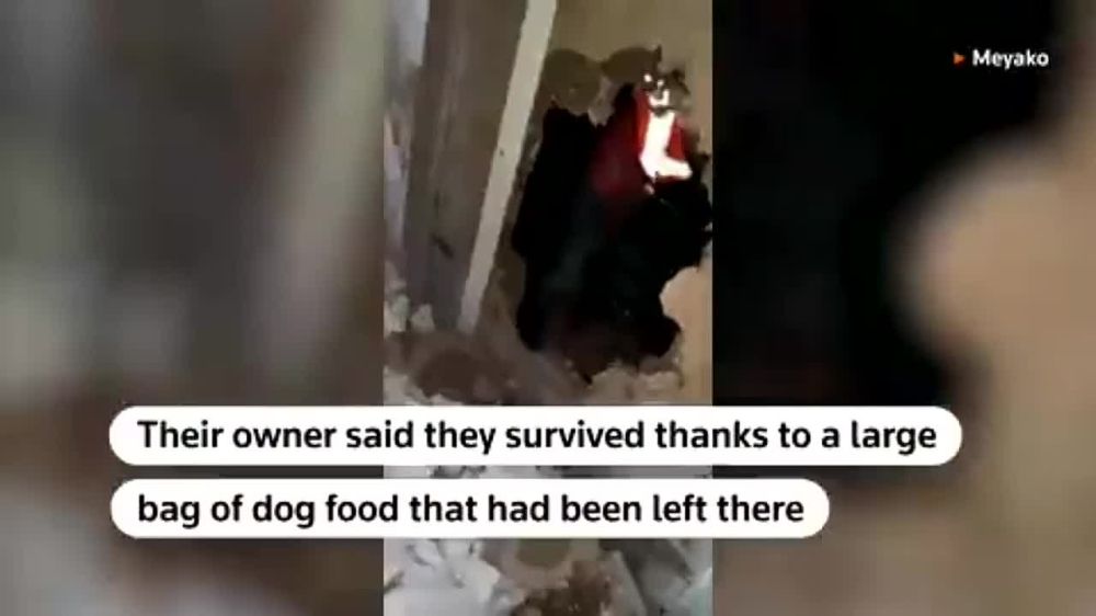 ������ � ����� �� ������ ������� ������ ��-��� ������� � ������ � ������ 28 ���� ����� �������������