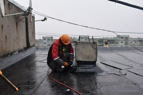 ������������ ��������� �� ��� ��������� ������������ 61 ������ � �����������