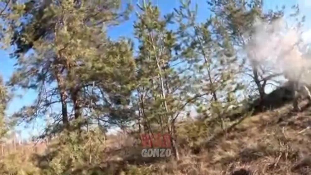 WarGonzo: ��������������-���������� �������� �� 95-�� ������� ���