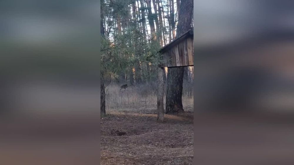 ��� ��� �������������� ������������� ��������� ���������� ��������� ����� ��������
