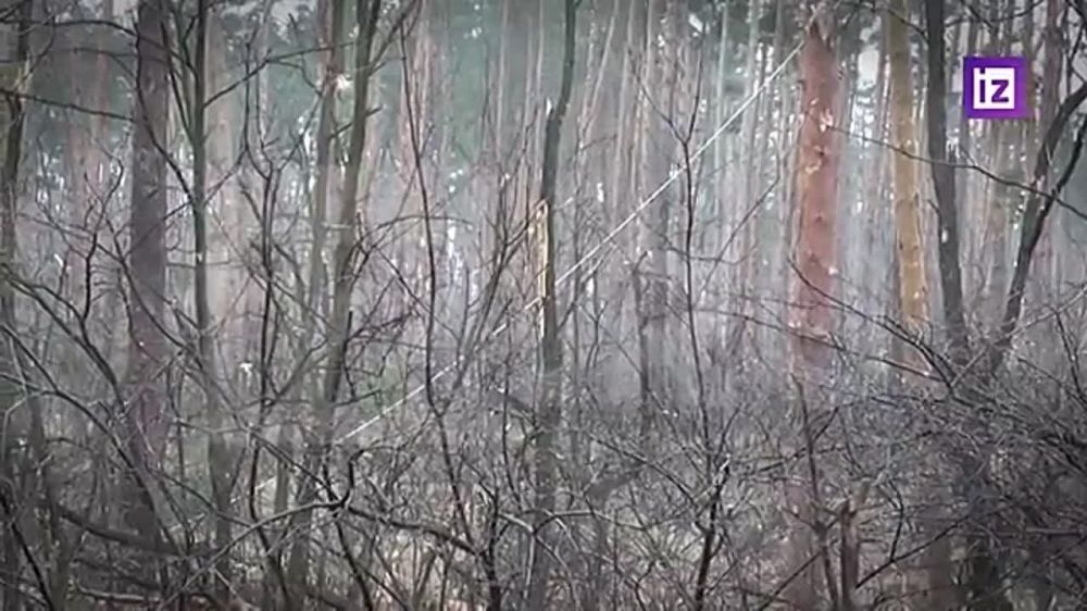 ���������� ����� "�����" ������ ��������� ������ ������ ������� ������ �� ����������� �������-�������, �������...