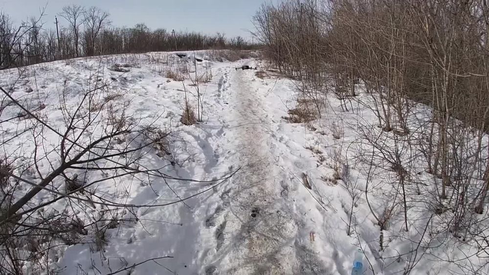 ����� �����: ��� ���������, ���������� ��� ������� (��� ������, �������� ����)