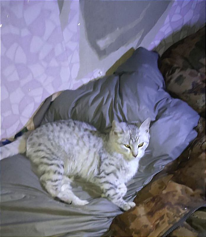 ���� ���������: ��� ���� ������������ ��� ��������� ������������