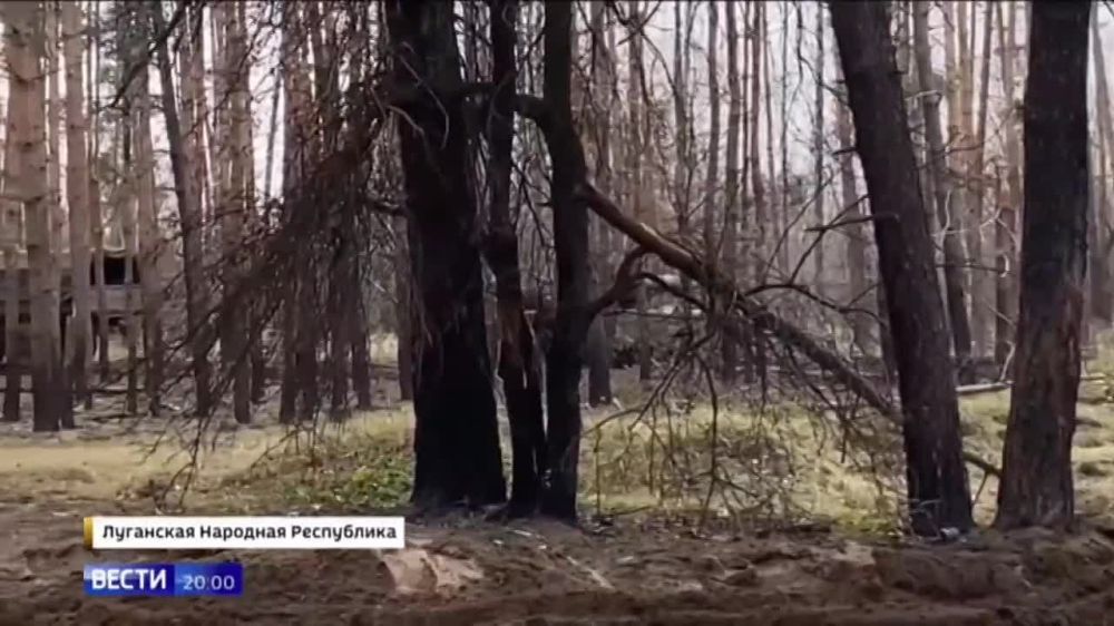 �������� "������" � ������ ������ ���������� ������� �� ����������� �������-���������