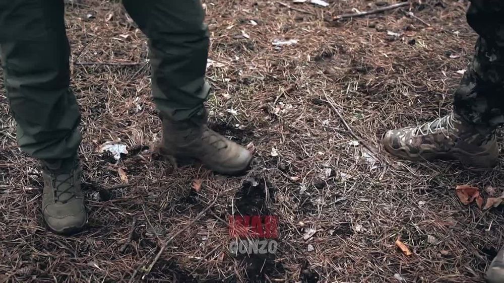 WarGonzo: �������� ��������� ������ ������ �� 20 ������
