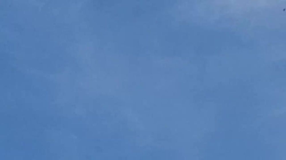 ��������� ���: ������� � ���� ���������� ���� ���������� �������������