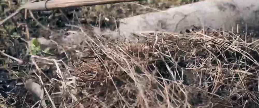 ��� ��� ������ ������� �� ��������� ����� ����� � ��������� ��� ������� �������� ��������!