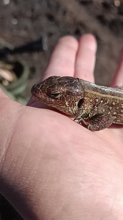 ��������� ��������: ���� � ������ ���� ����� �� ������, �������� � �������, � ��� ��������� �������� ������!