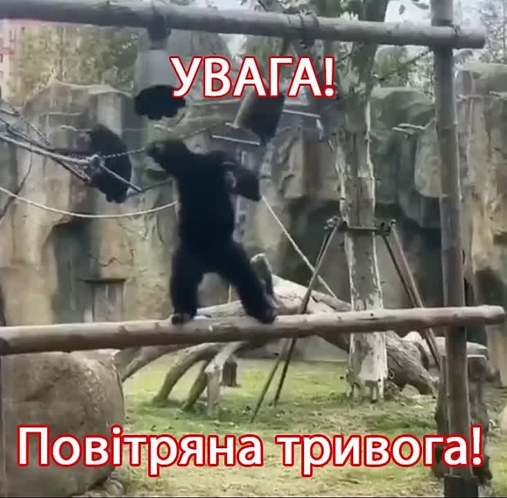 ������ �������: � ����� � ���� ������ �������� ��������� �������