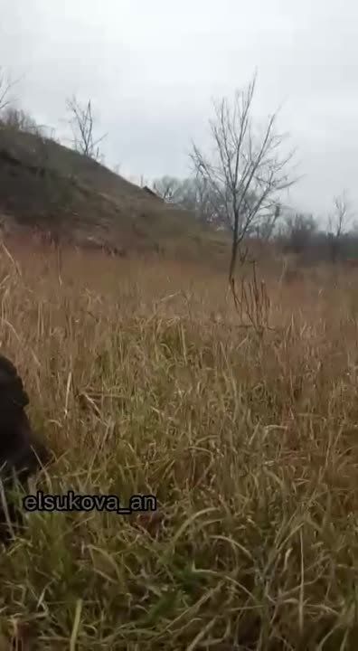 ��������� ��������: ���� ����� � ������������ �����������, ��� �� ������-������ ���, �������� �� ����������