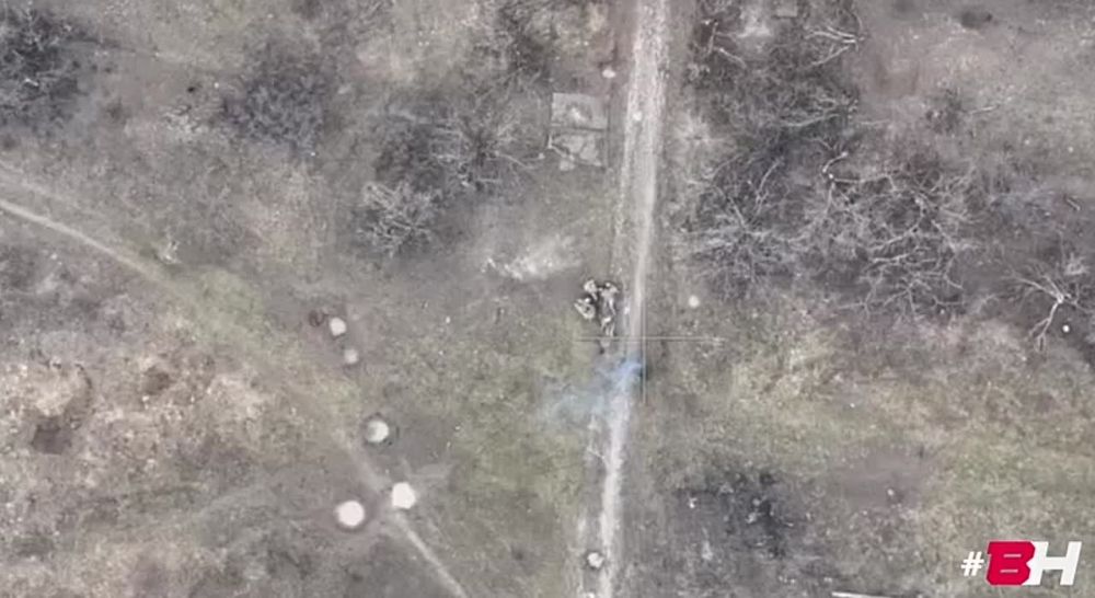 ���������. ��� ���� ������ ��������� ������ ����������� �� ����������� �����������