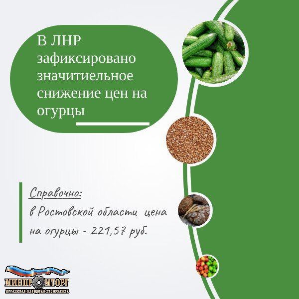 ���� ���� �� ����: � ���������� ���������� ������