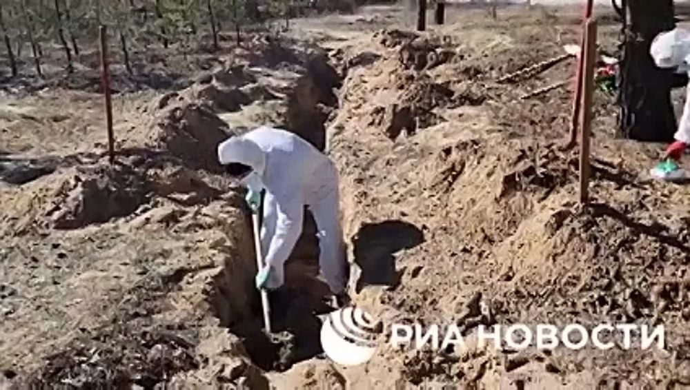�� ��������� ����������� � ������������� (���) �������� ������� ������ �������