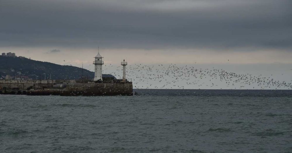 ������� �������� ����������� ������� ����� ���������� ������