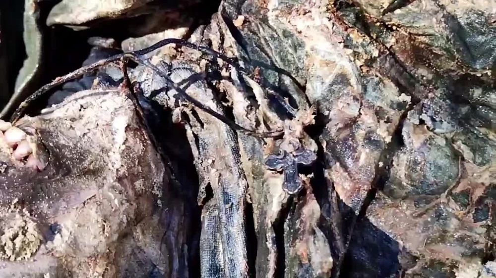 �������, ������� ����� ������������ ����� ������� �� ���, ������������� ��������������� ���, ���� ��������� ���...