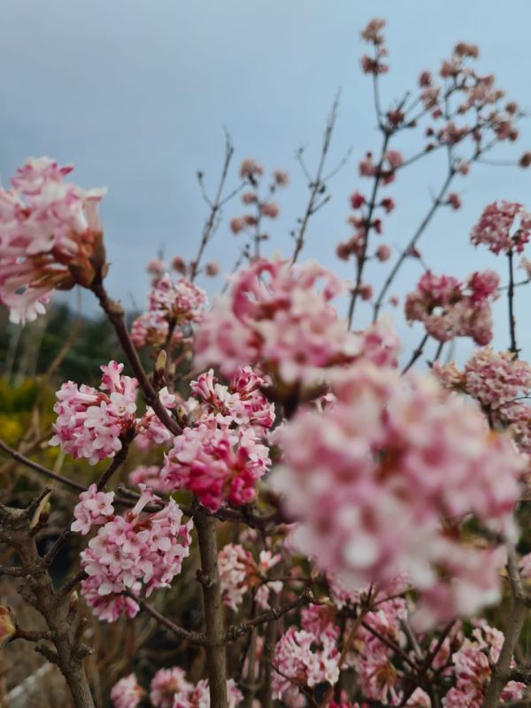 ����� ��������: � ���� �����������, ������! ��������� �������� ����� ����� �������� ��������!