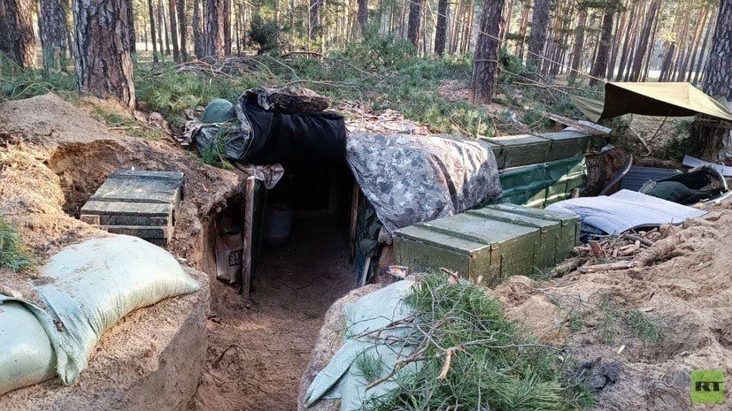 Анна Долгарева: Линия Сватово-Кременная. Помимо продвижения под Житловкой, мои источники с места сообщили о продвижении под Макеевкой (ЛНР) и взятии новых позиций