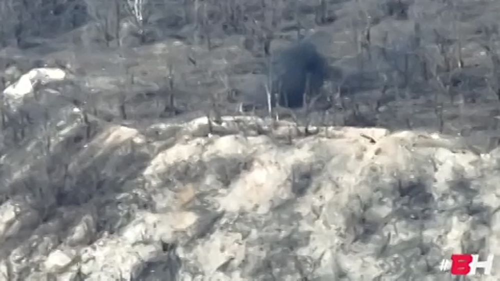 ����� �����: ���� ����� ������� ������� ��� � ���������� �������