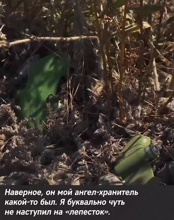 �������� ��� �������� ����������, ������� ���� ��� �����