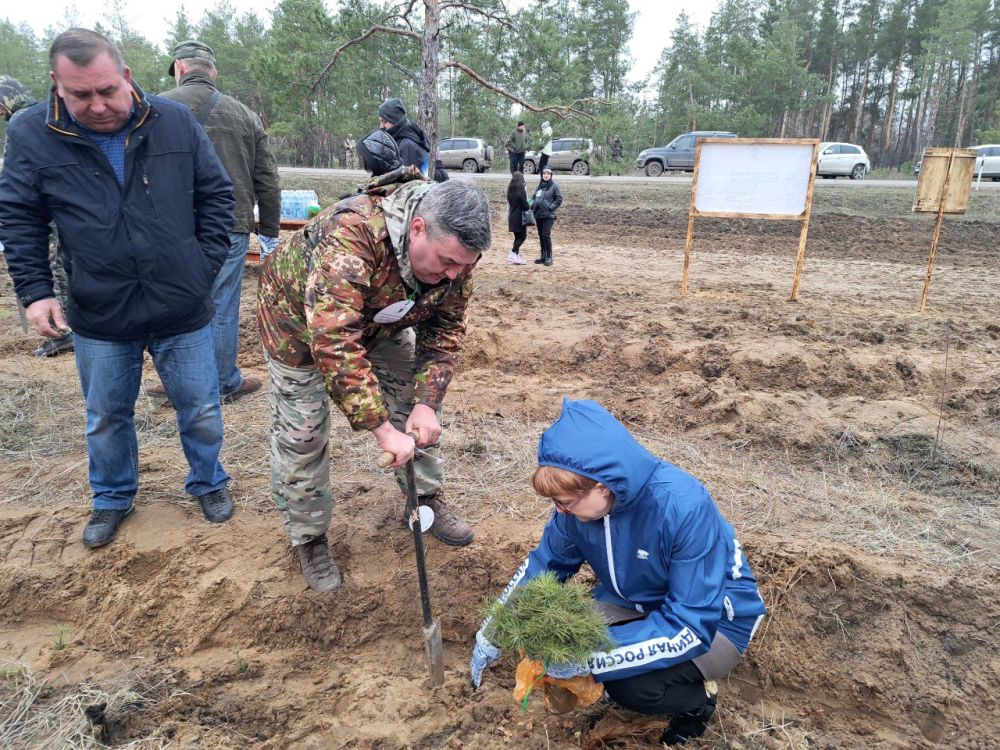 � ������ ����� ���� ������ ���������� ��� ����������� ������ �������� �����������