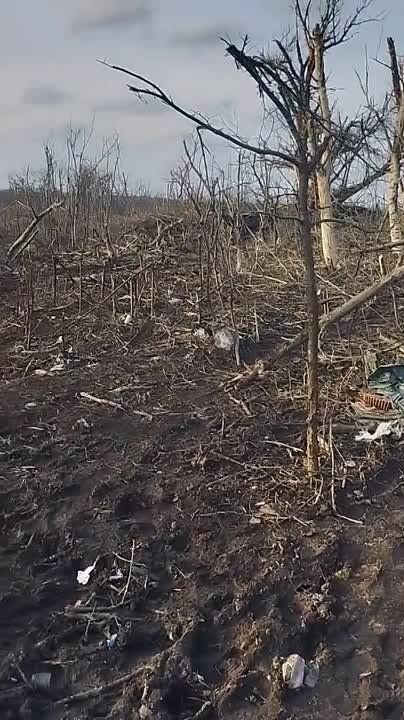 � ��� ������ ����������� ������������ ������������ ��������