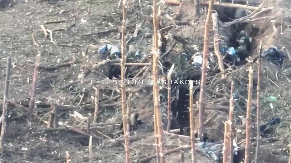 ��������� ���, ������� �������������� �������, ���� ��� ��� ����������, ����� Telegram-������ @sashakots