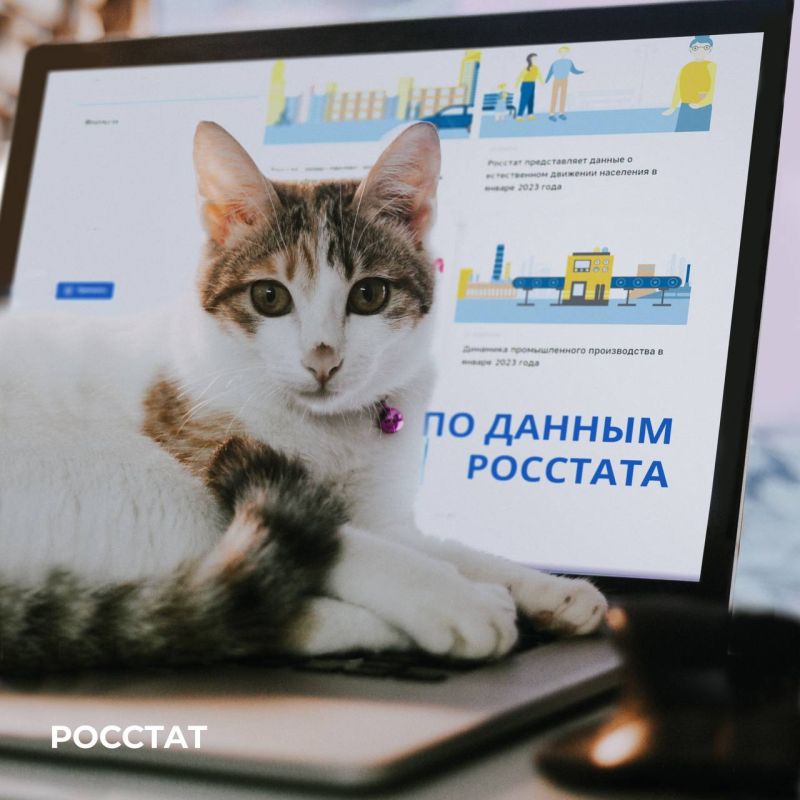 ���� smm-�������� ��� ����, ������ ������� � ��� �� ���� ������