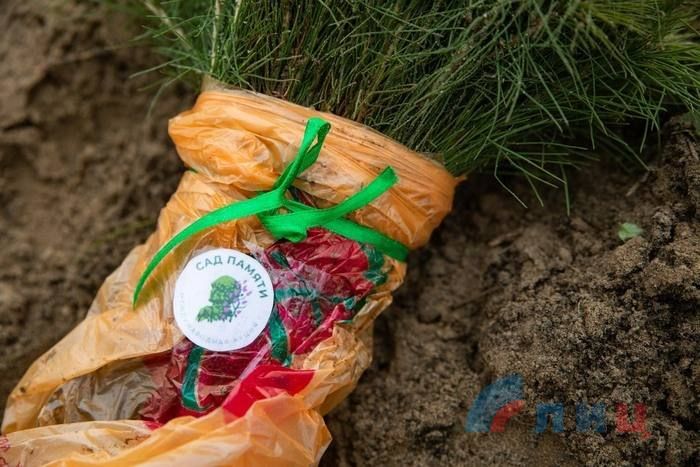 Временно исполняющий обязанности главы ЛНР Леонид Пасечник и сенатор РФ от Республики Ольга Бас приняли участие в закладке леса "Поколение героев" вблизи села Макарово Станично-Луганского района