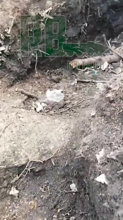 ���������� ������� ���������� ��������� ������� ������ ��� �� ����������� �������-���������